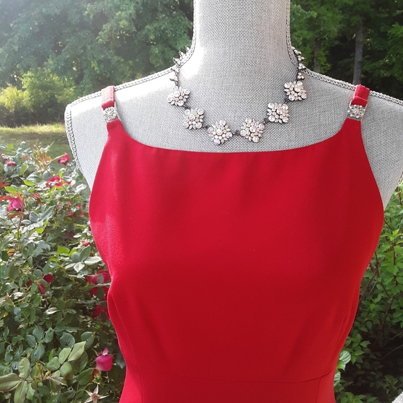 Amazing Red Dress - Picture 8 of 10